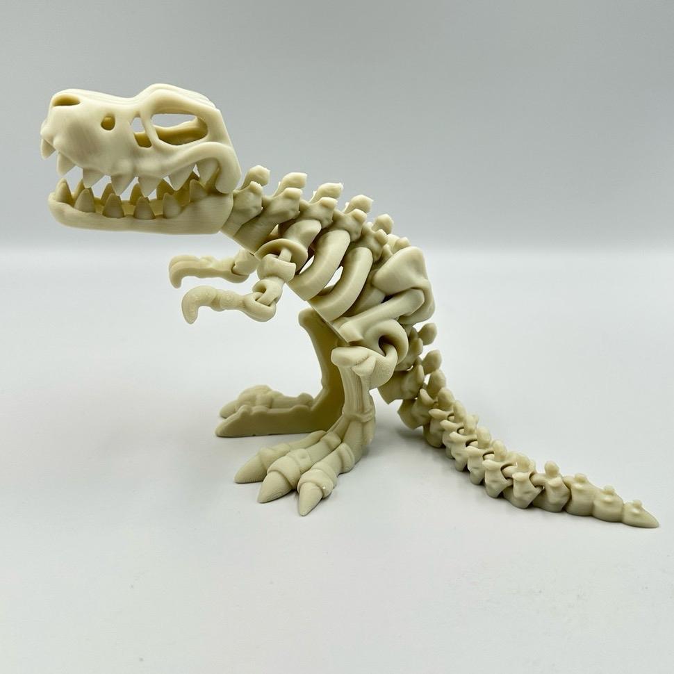 Dino Skeletons